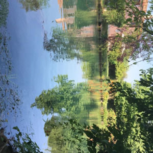 Meet your Posher, Caterina